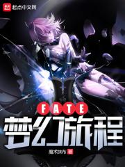 Fate梦幻旅程封面